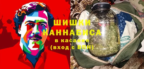 ПСИЛОЦИБИНОВЫЕ ГРИБЫ Алексин
