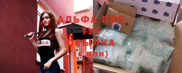 сатива Алексеевка